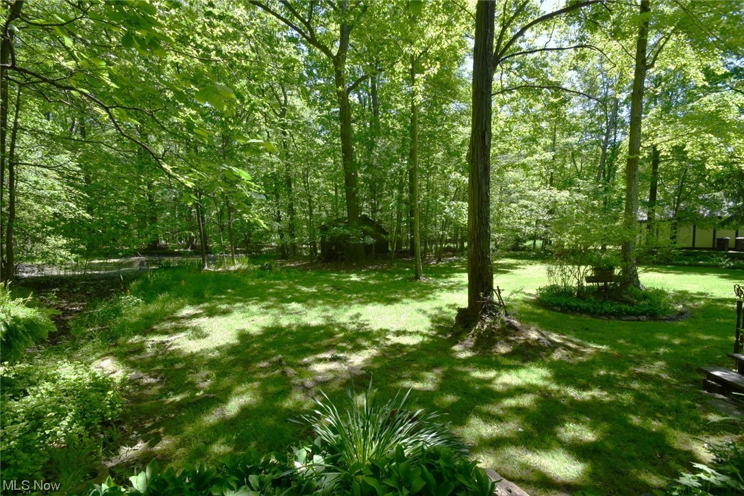 4259 Brainard Road Chagrin Falls, OH 44022 - Photo 30 of 32 Rear yard with pond