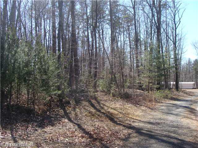 1493 North Ridge Road Roaring River, NC 28669 - Photo 3 of 13 Exterior Front. Pretty driveway into your Heavly wooded 10+ Acre Tract