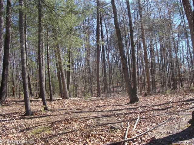 1493 North Ridge Road Roaring River, NC 28669 - Photo 5 of 13 Land. Lays Beautifully!