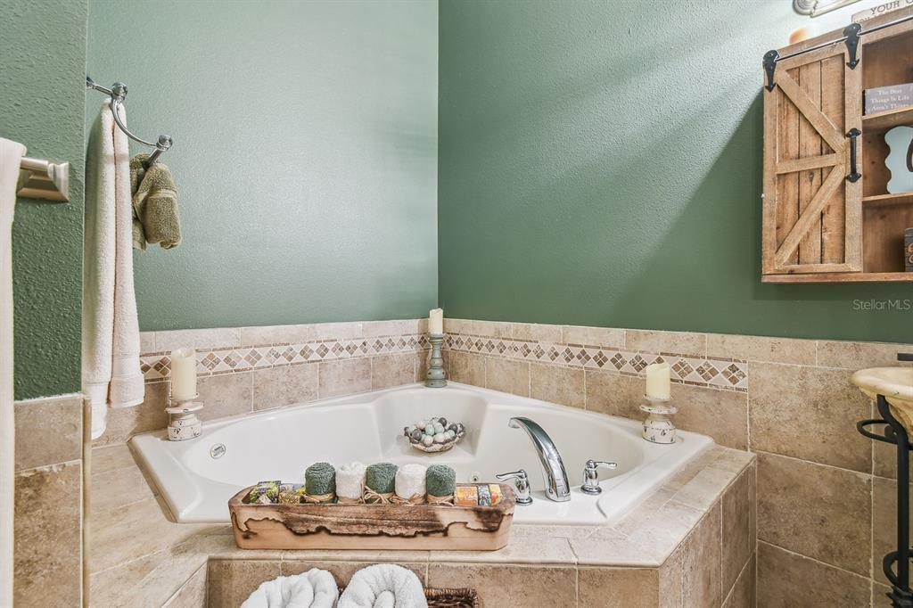 19315 Lake Pickett Road Orlando, FL 32820 - Photo 25 of 90 a view of a bath tub sitting in a bathroom