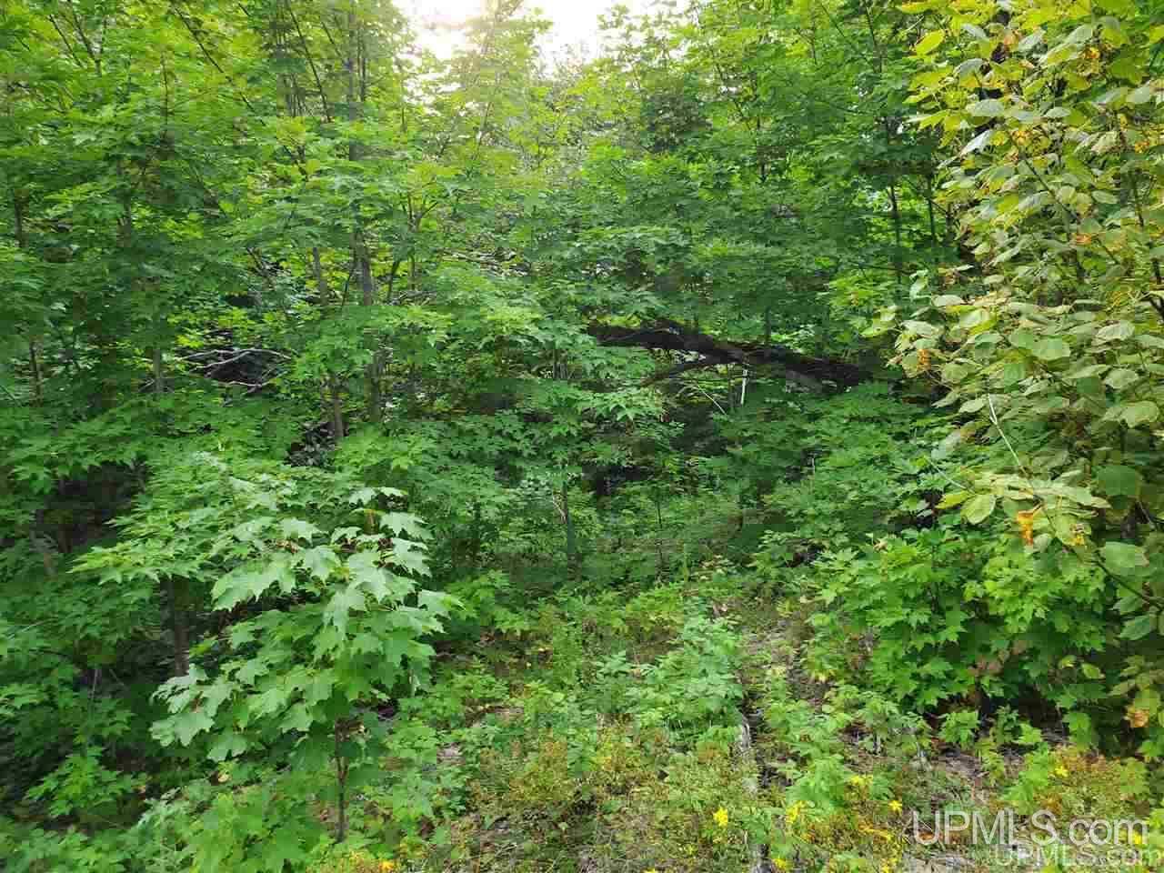 Tbd Tbd Holyoak Negaunee, MI 49866 - Photo 10 of 10