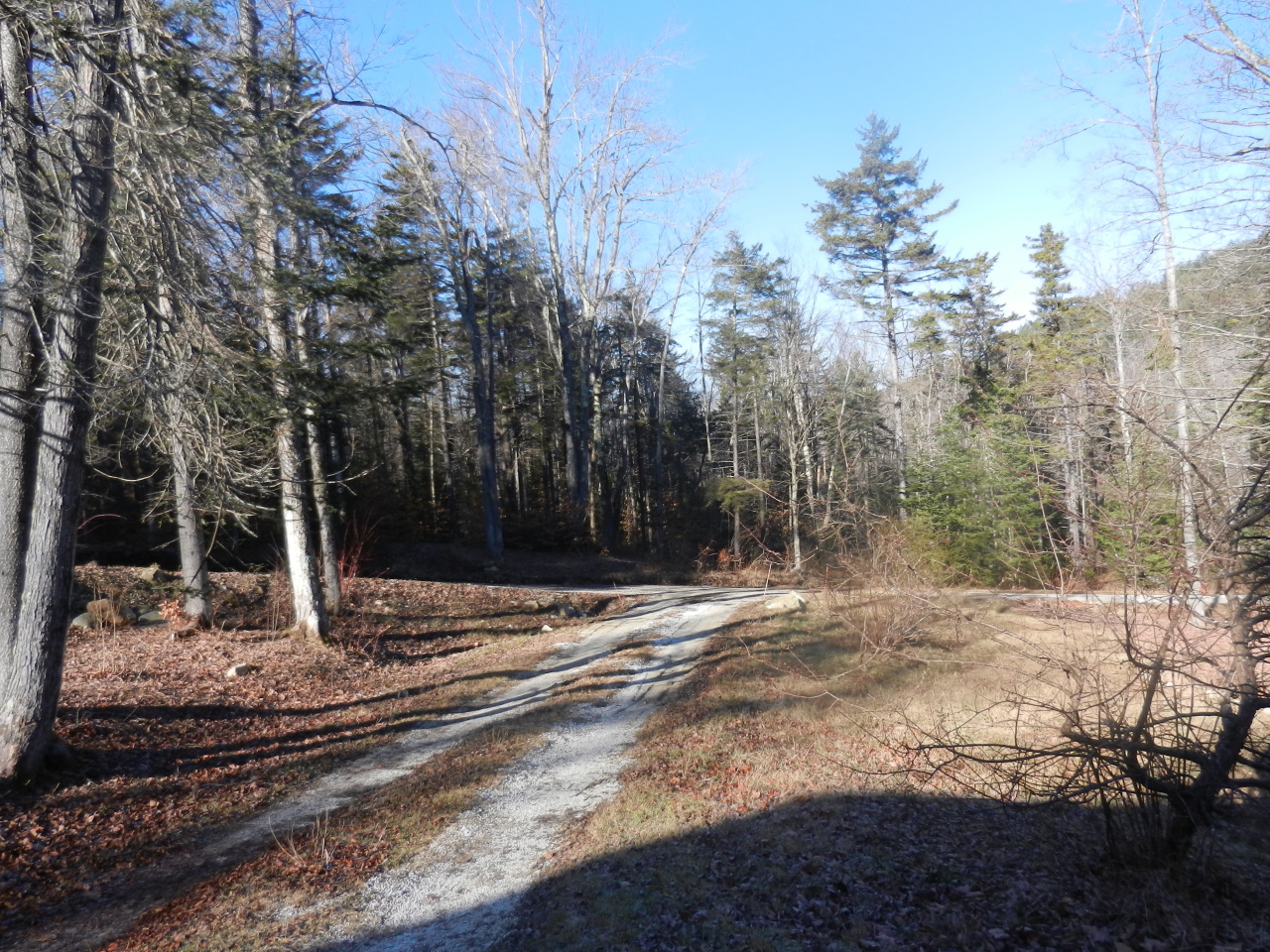40 River Road Savoy, MA 01256 - Photo 14 of 25 a backyard of a house with lots of green space