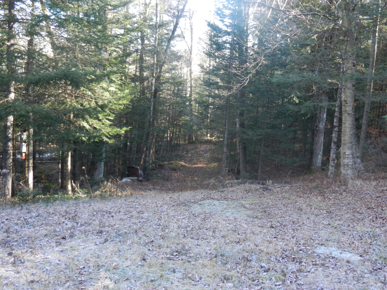 40 River Road Savoy, MA 01256 - Photo 17 of 25 a view of a forest with trees in the background