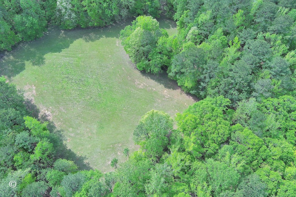 727 Huling Road Fortson, GA 31808 - Photo 11 of 44 Cleared land in front of the house