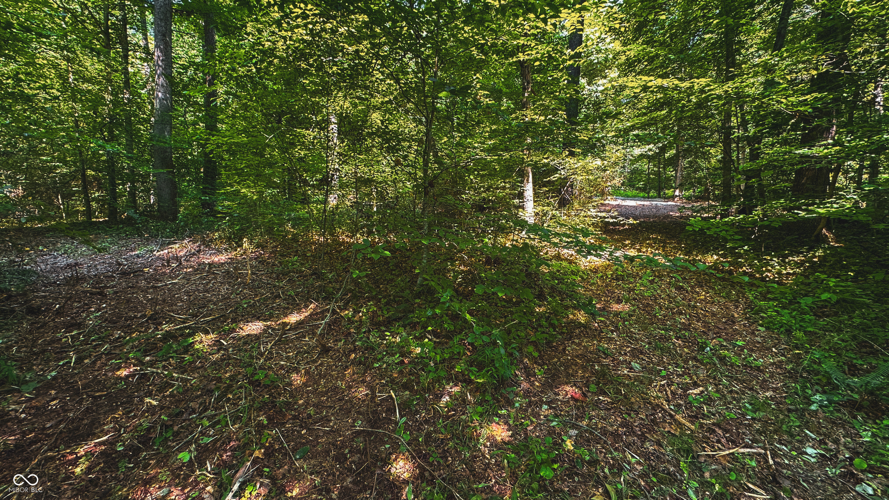 0 North Legion Road Solsberry, IN 47459 - Photo 41 of 43 Gallery Image 41