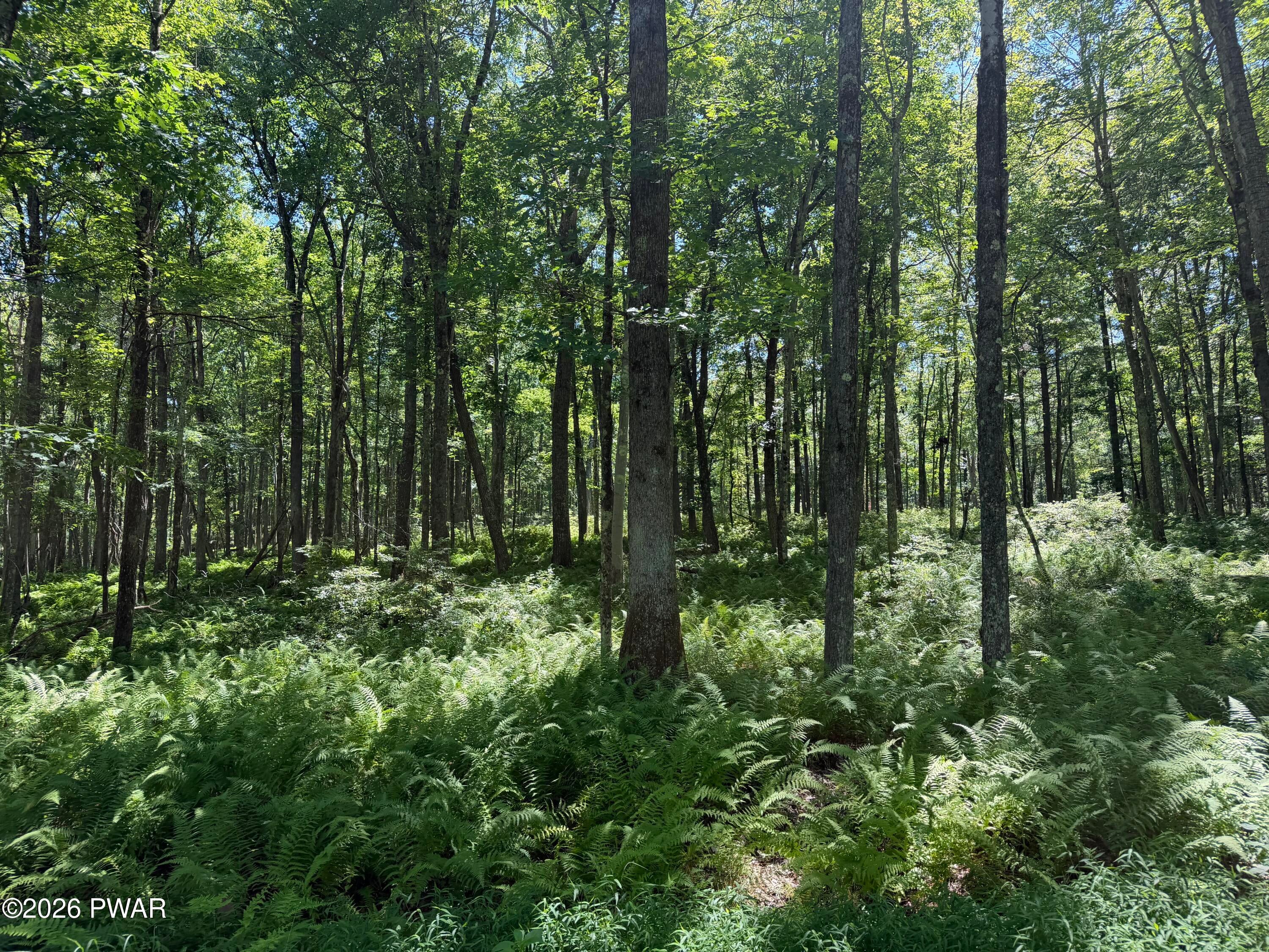 Lot 14 Woodlyn Acres Road Hawley, PA 18428 - Photo 3 of 13 Gallery Image 3