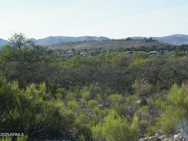 a view of a mountain range with trees in the background