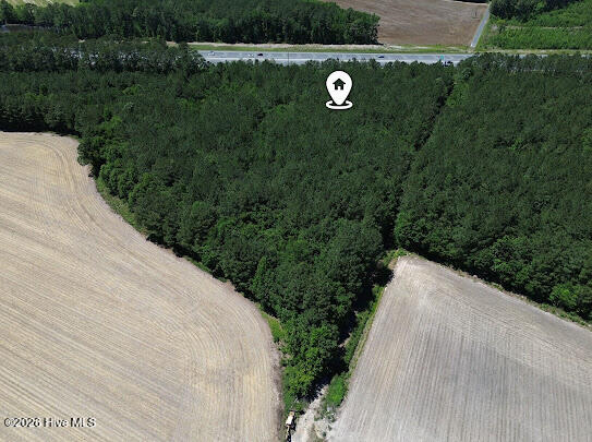 4.47-ac Purdy Matthews Road Wade, NC 28395 - Photo 13 of 25