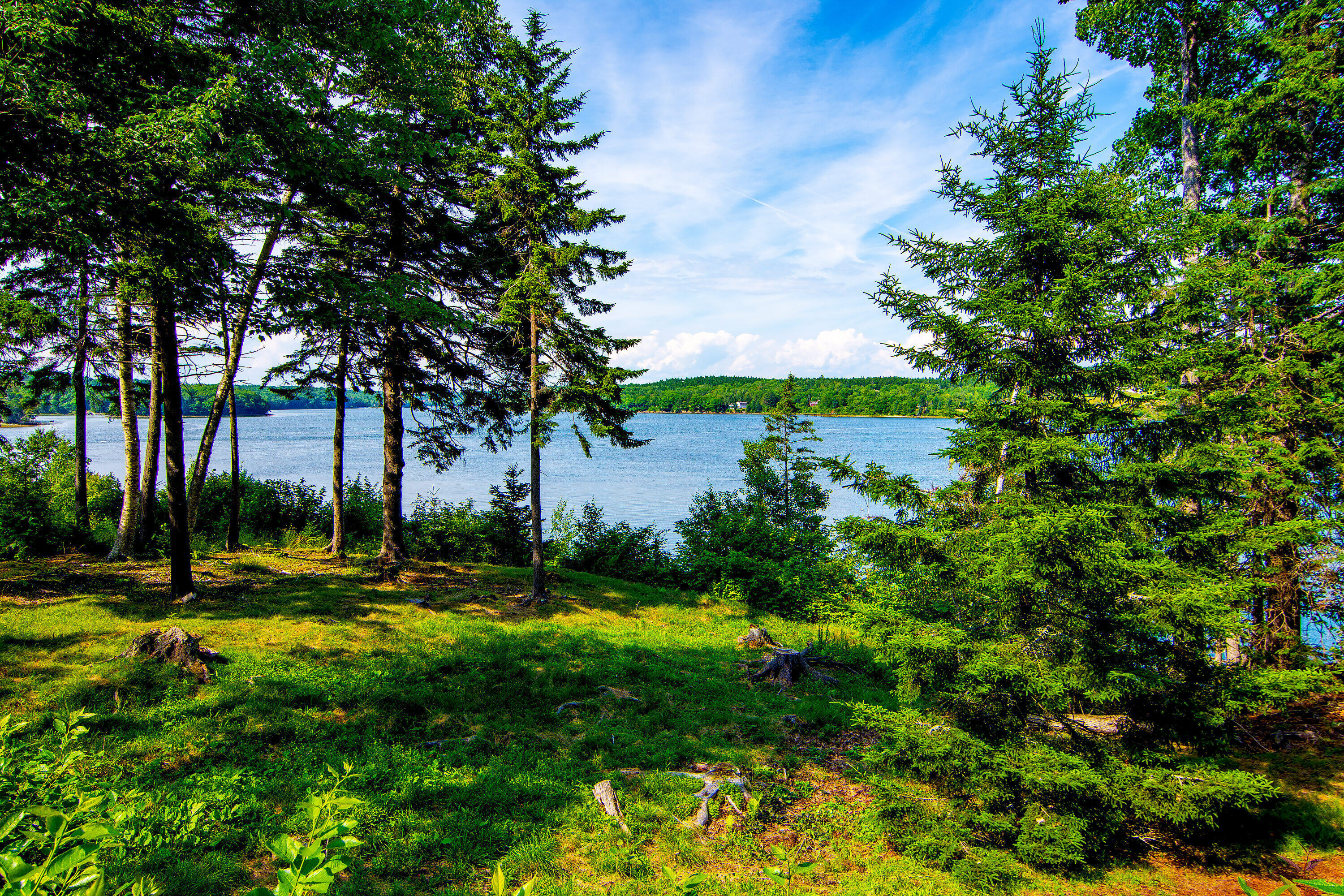 27 Cassatt Road Brooksville, ME 04617 - Photo 45 of 54 27 Cassatt Road Brooksville ME-print-043