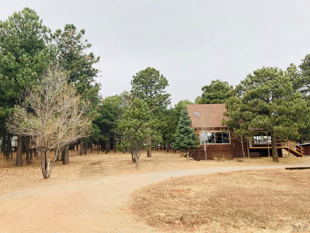 10625 Arnold Lane Rye, CO 81069 - Photo 33 of 35