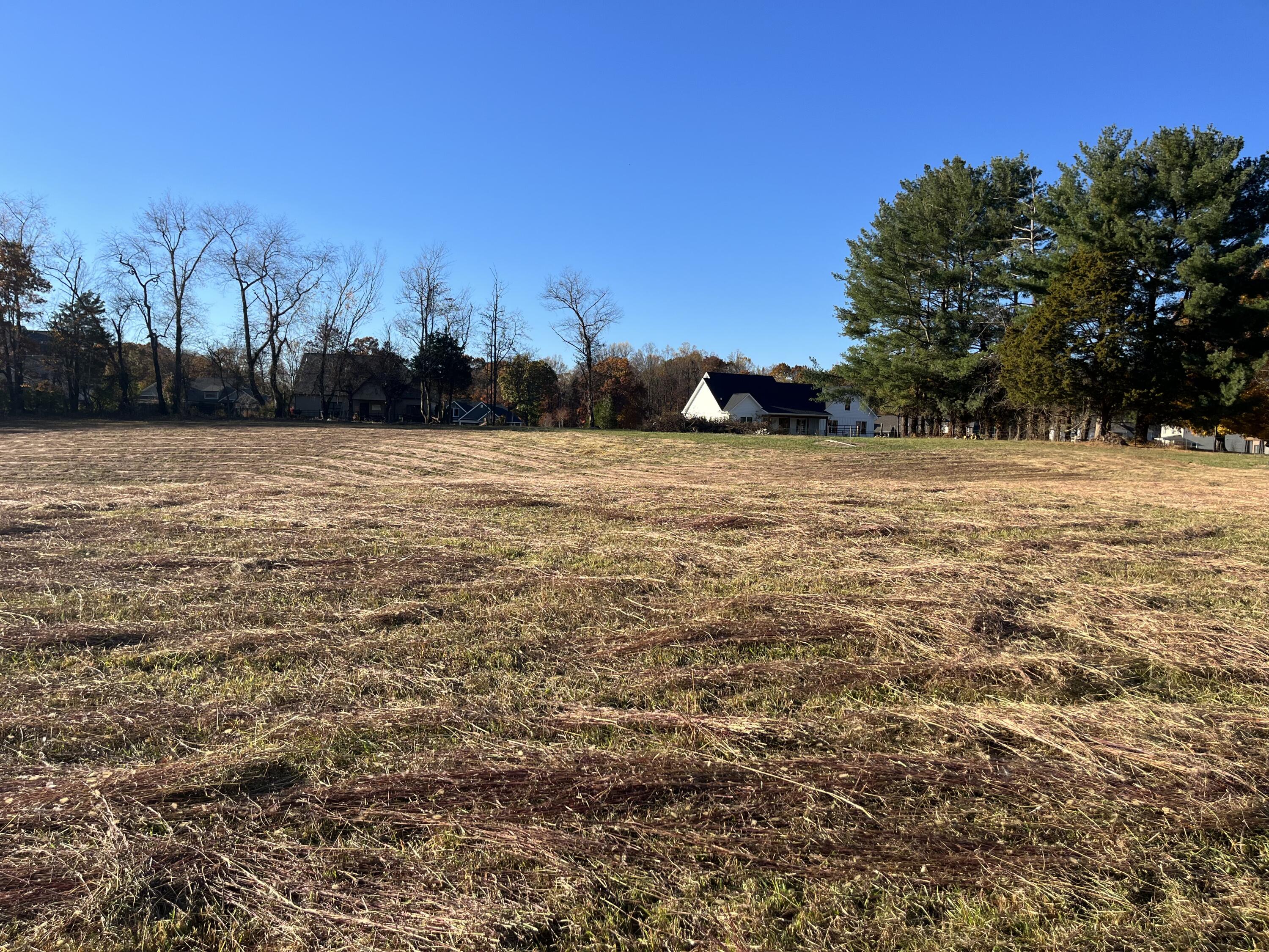 435 Whitaker Road Piney Flats, TN 37686 - Photo 6 of 9 Photo 4