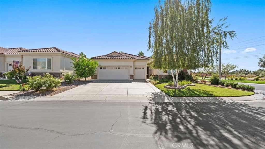 1706 Brittney Road Beaumont, CA 92223 - Photo 4 of 44 a view of a house with a yard and potted plants