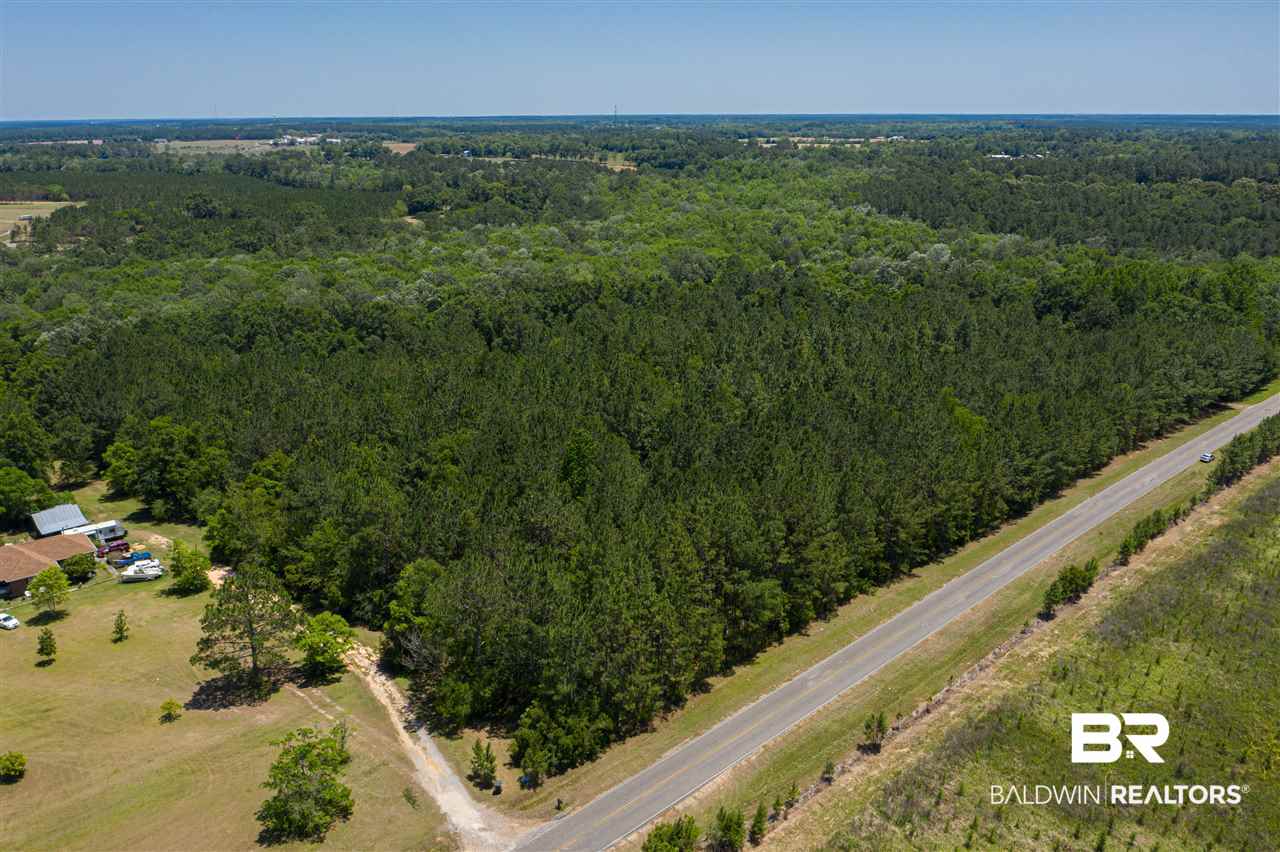 24690 Newport Road Robertsdale, AL 36567 - Photo 1 of 9 10 Acres!
