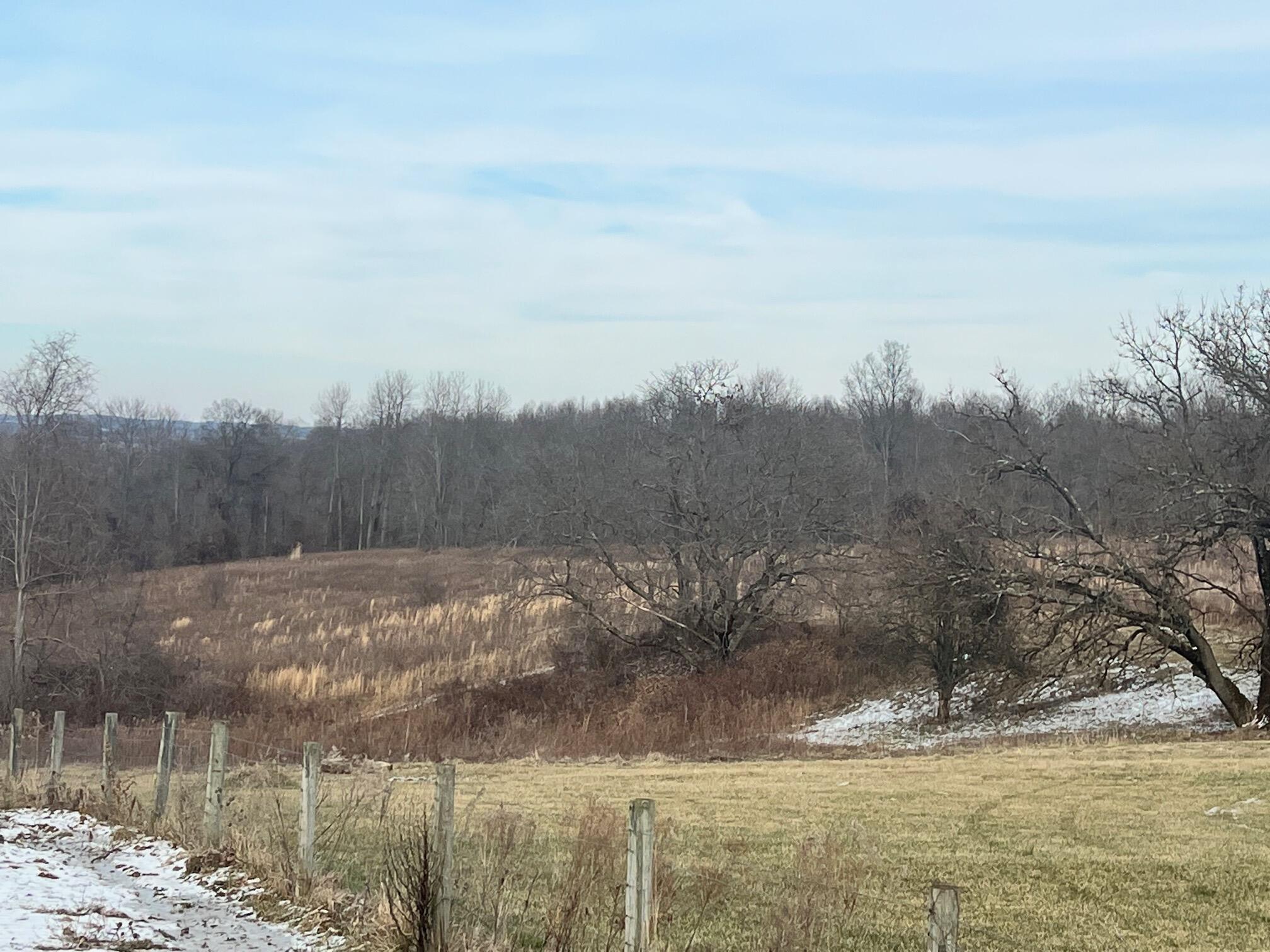 7096 Pleasantview Road Southeast Bremen, OH 43107 - Photo 17 of 30 IMG_4718