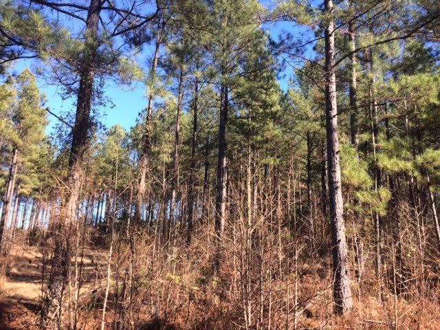 5 Manning Road Iva, SC 29655 - Photo 2 of 3