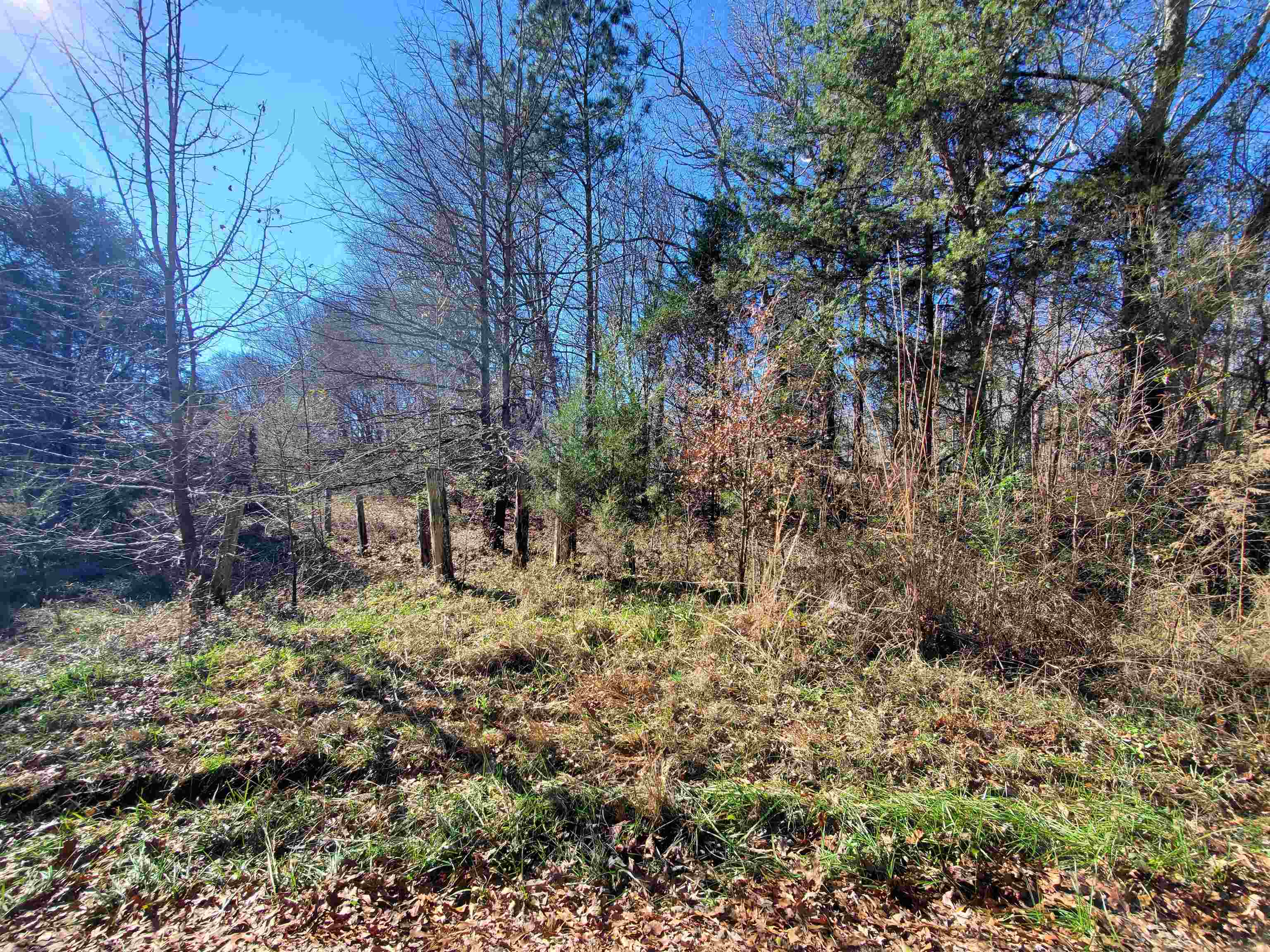 Lot 5 Ritchie Road Fountain Inn, SC 29644 - Photo 11 of 20