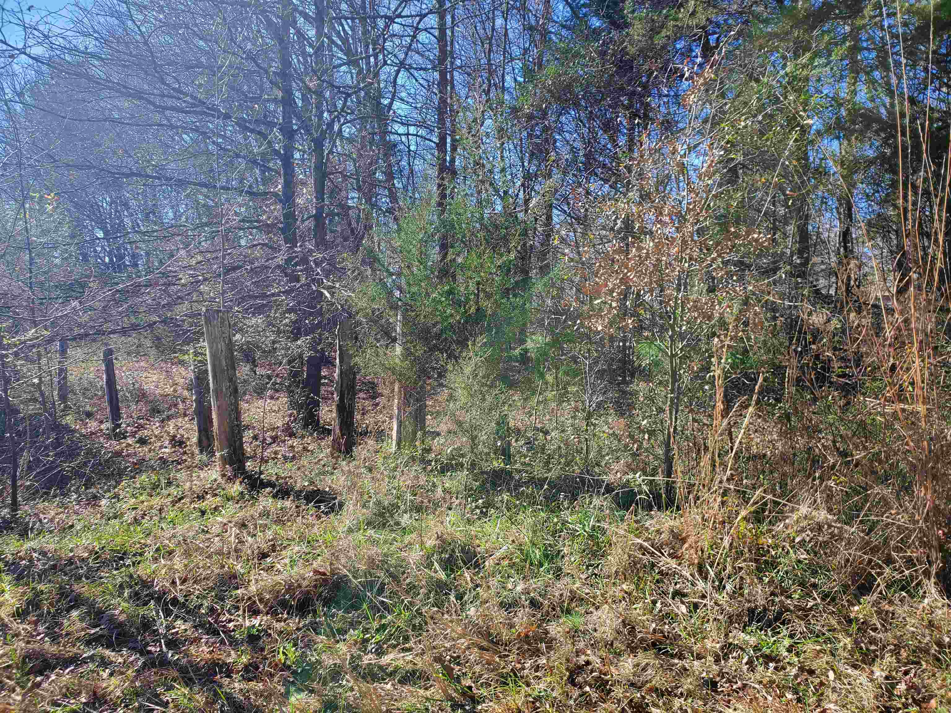 Lot 5 Ritchie Road Fountain Inn, SC 29644 - Photo 12 of 20