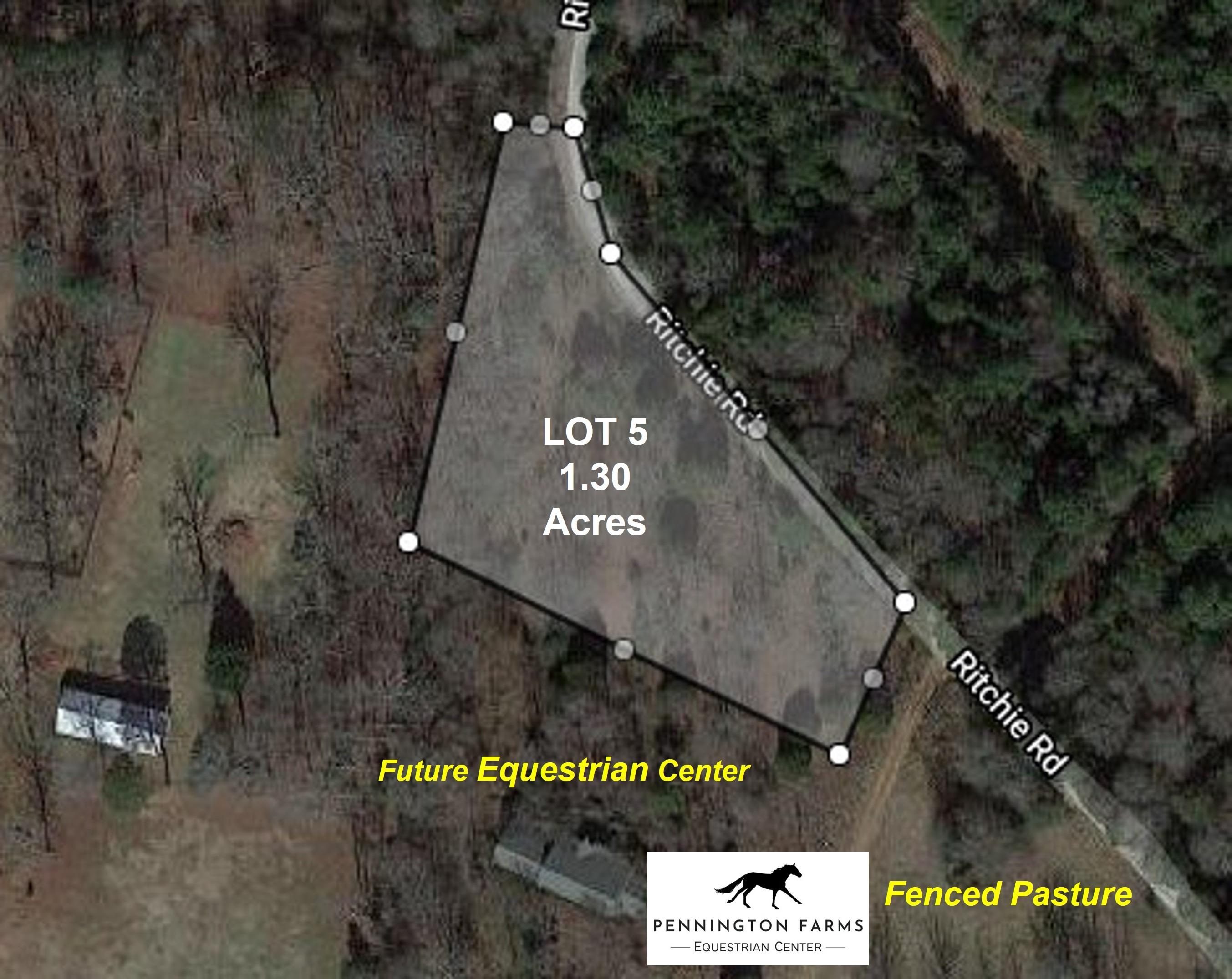 Lot 5 Ritchie Road Fountain Inn, SC 29644 - Photo 17 of 20