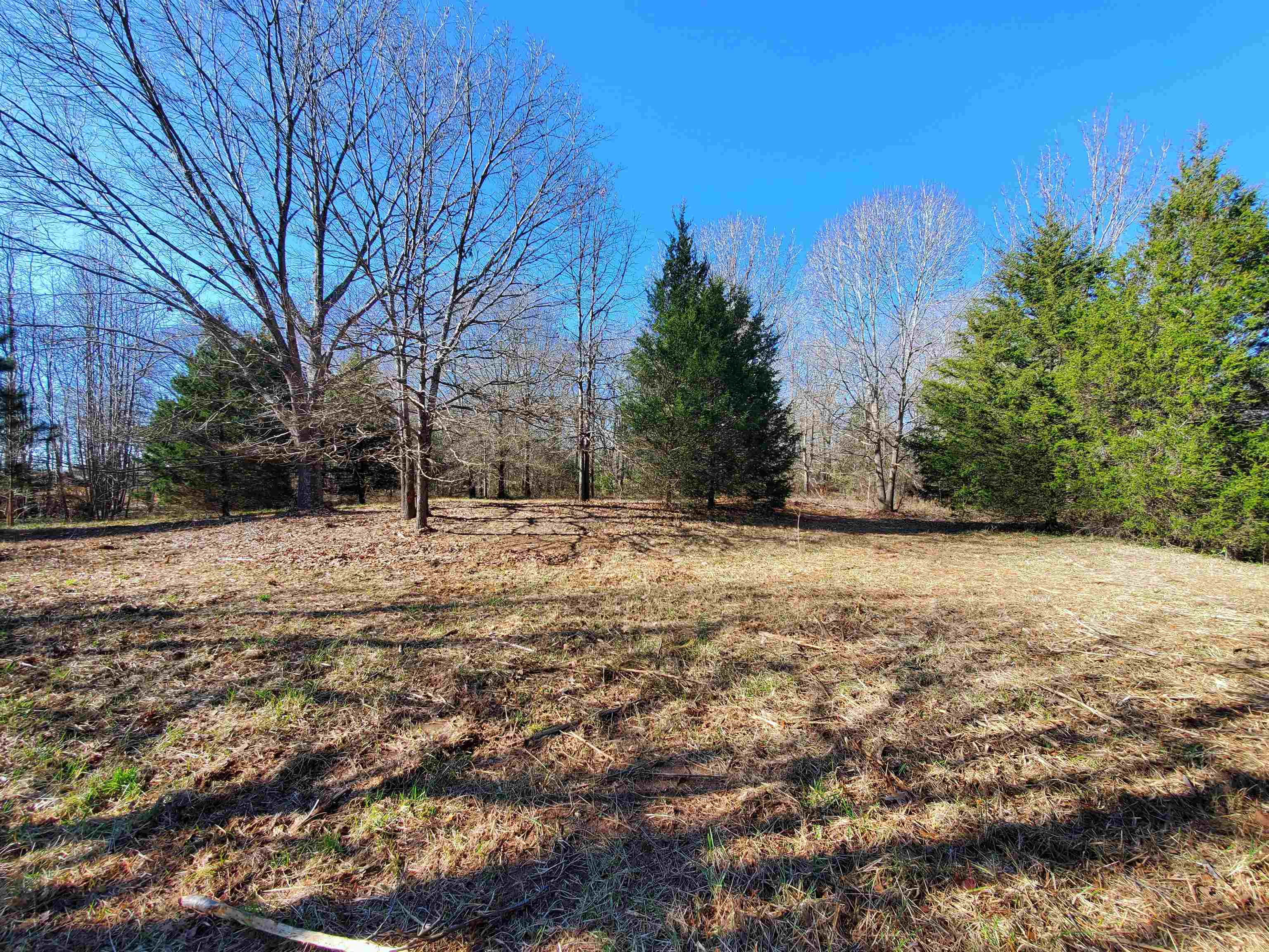 Lot 5 Ritchie Road Fountain Inn, SC 29644 - Photo 2 of 20