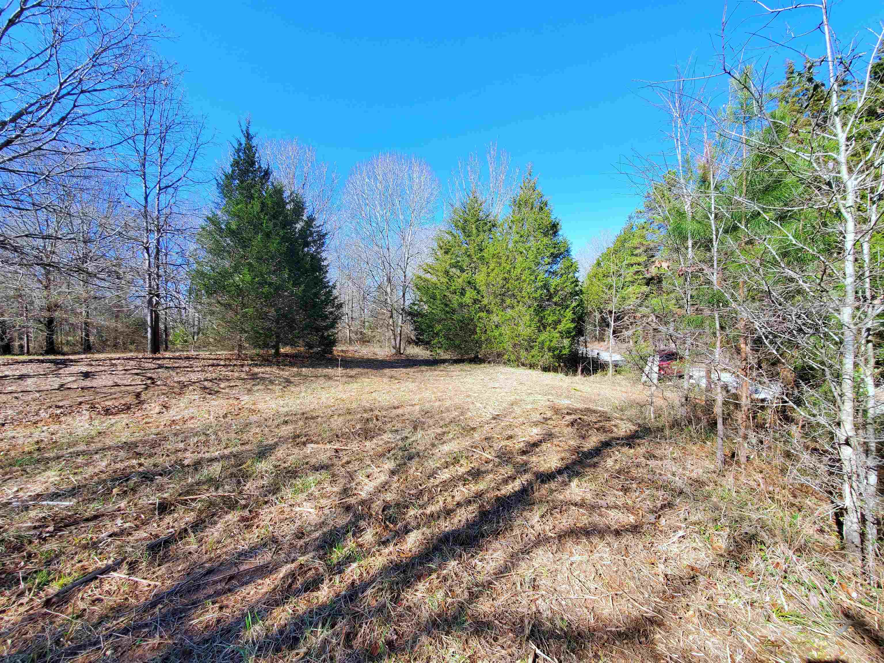 Lot 5 Ritchie Road Fountain Inn, SC 29644 - Photo 3 of 20