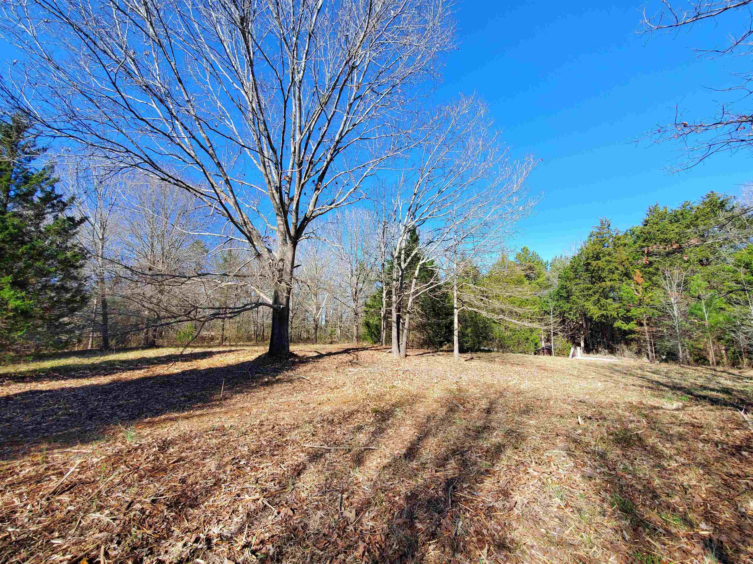Lot 5 Ritchie Road Fountain Inn, SC 29644 - Photo 4 of 20