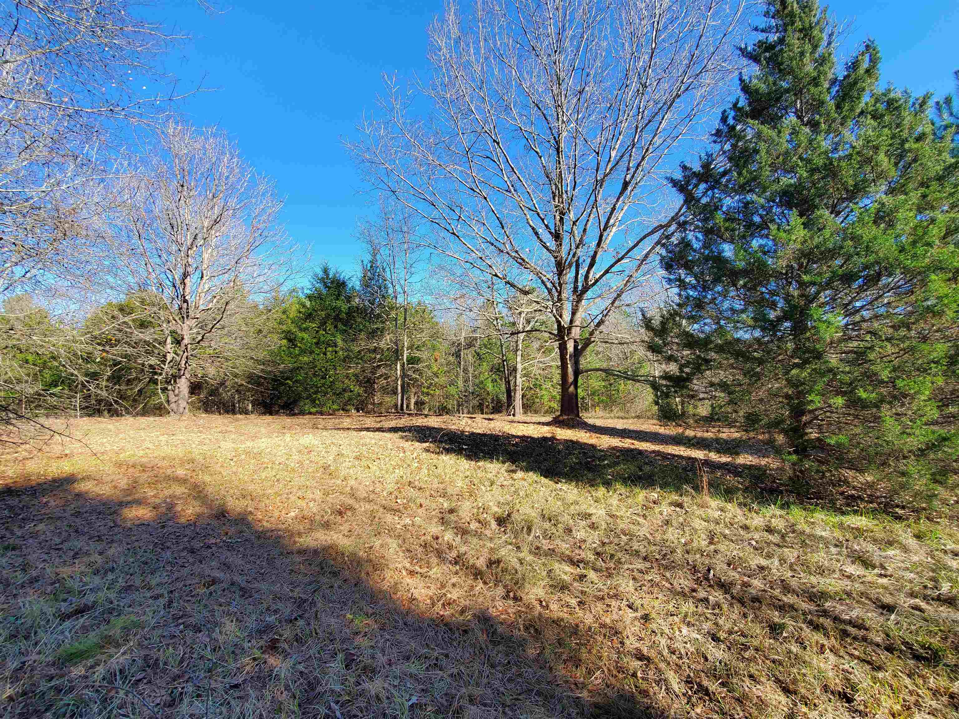 Lot 5 Ritchie Road Fountain Inn, SC 29644 - Photo 5 of 20