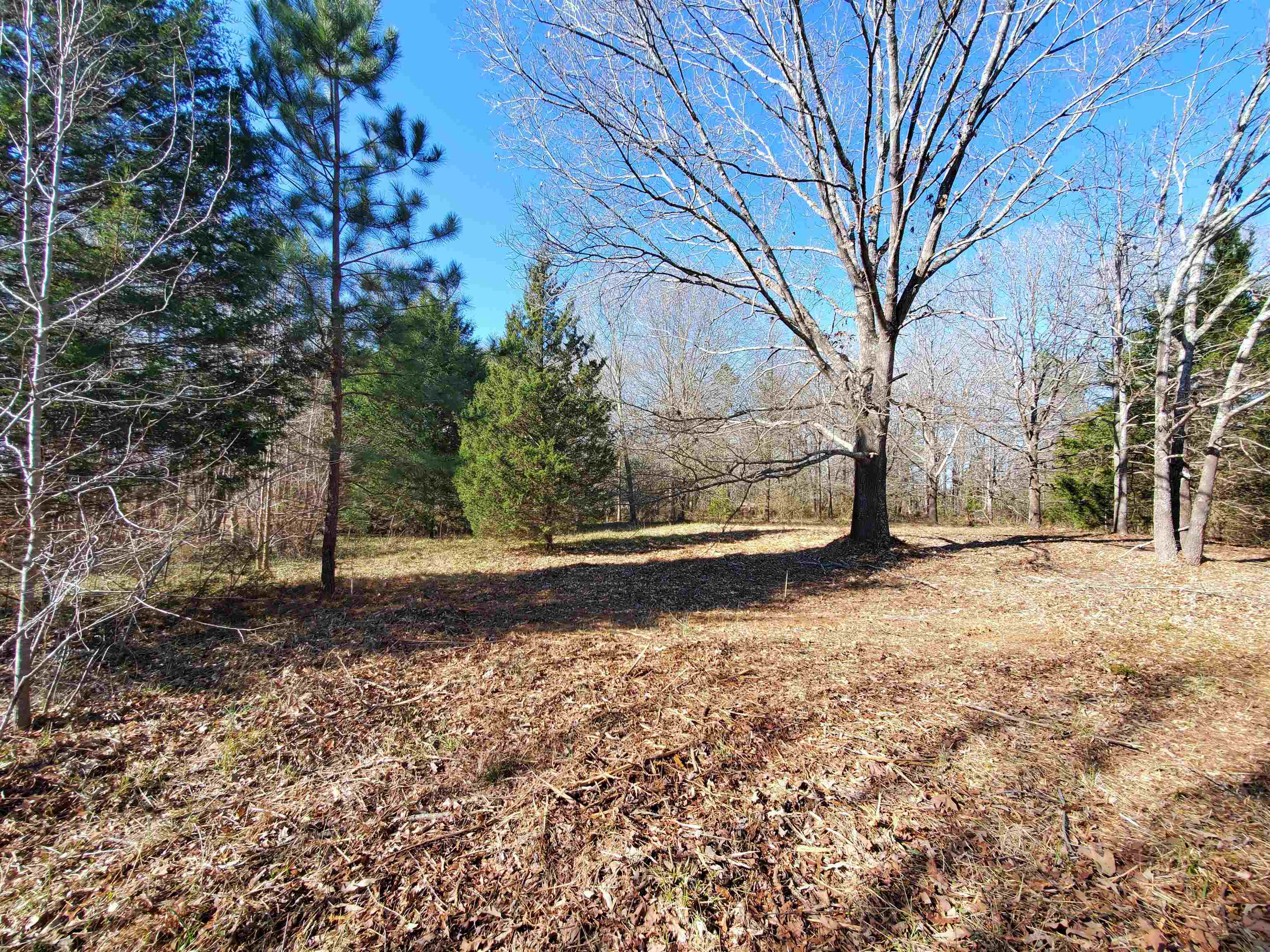 Lot 5 Ritchie Road Fountain Inn, SC 29644 - Photo 6 of 20