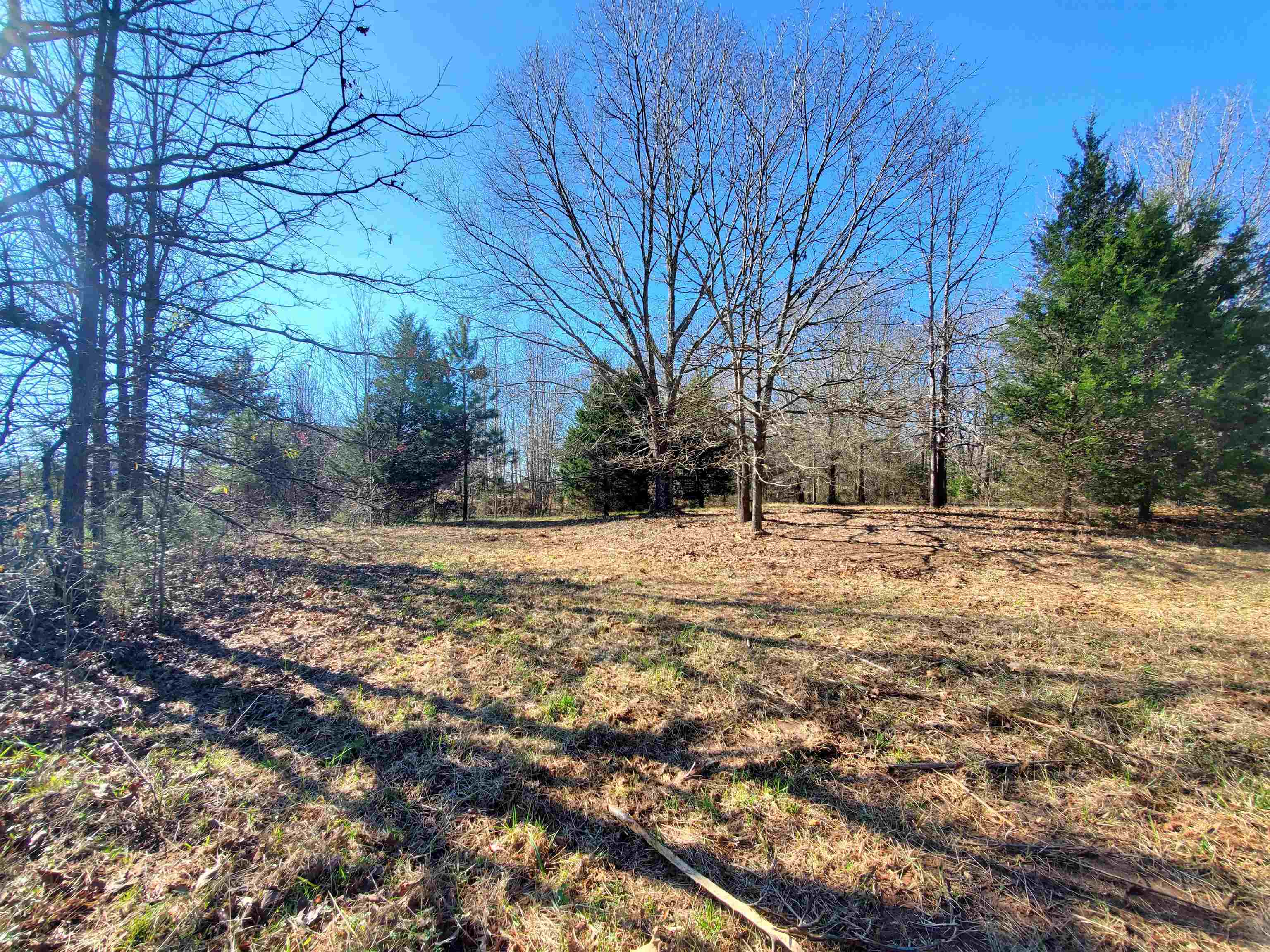 Lot 5 Ritchie Road Fountain Inn, SC 29644 - Photo 8 of 20