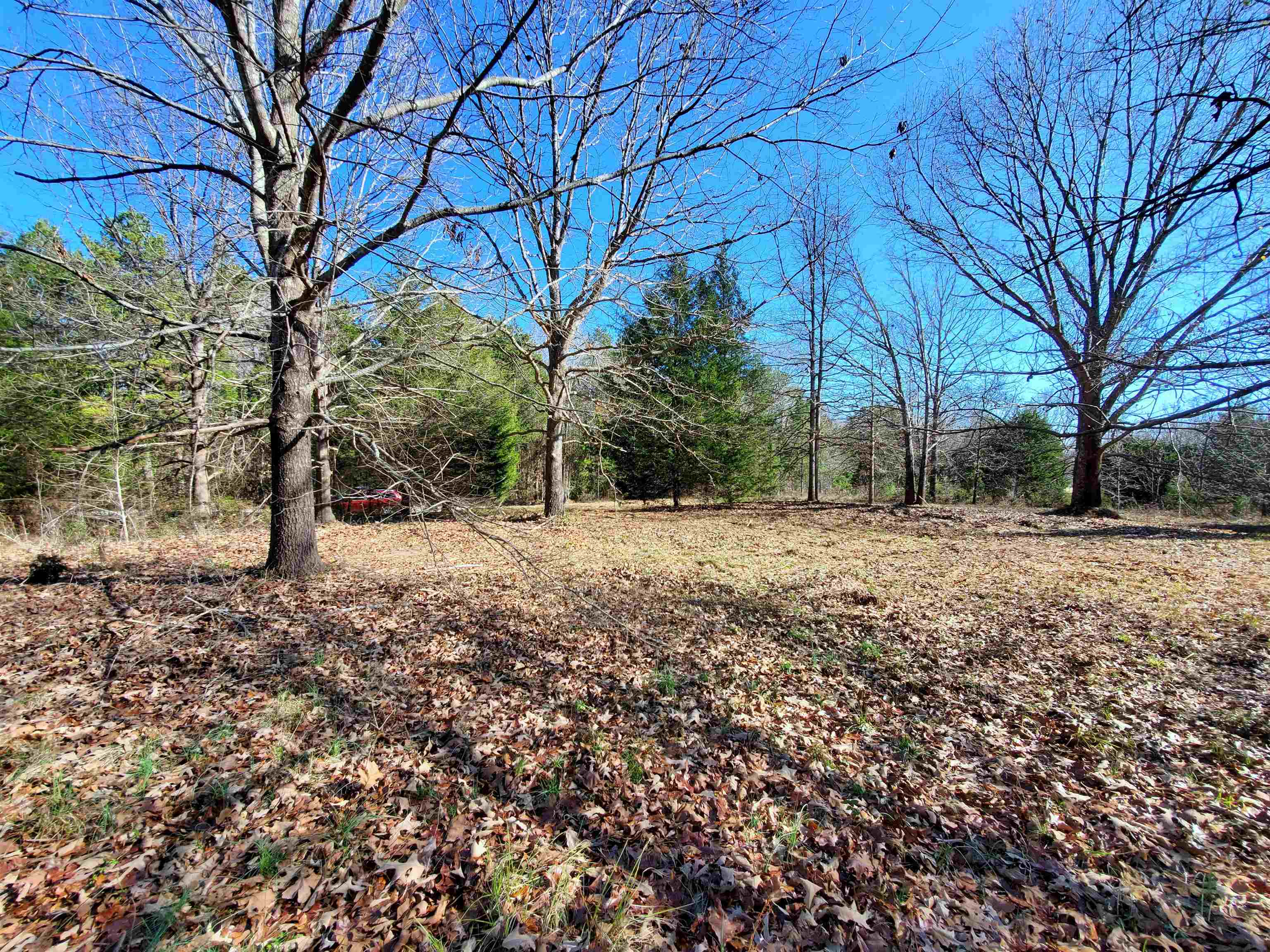 Lot 5 Ritchie Road Fountain Inn, SC 29644 - Photo 9 of 20