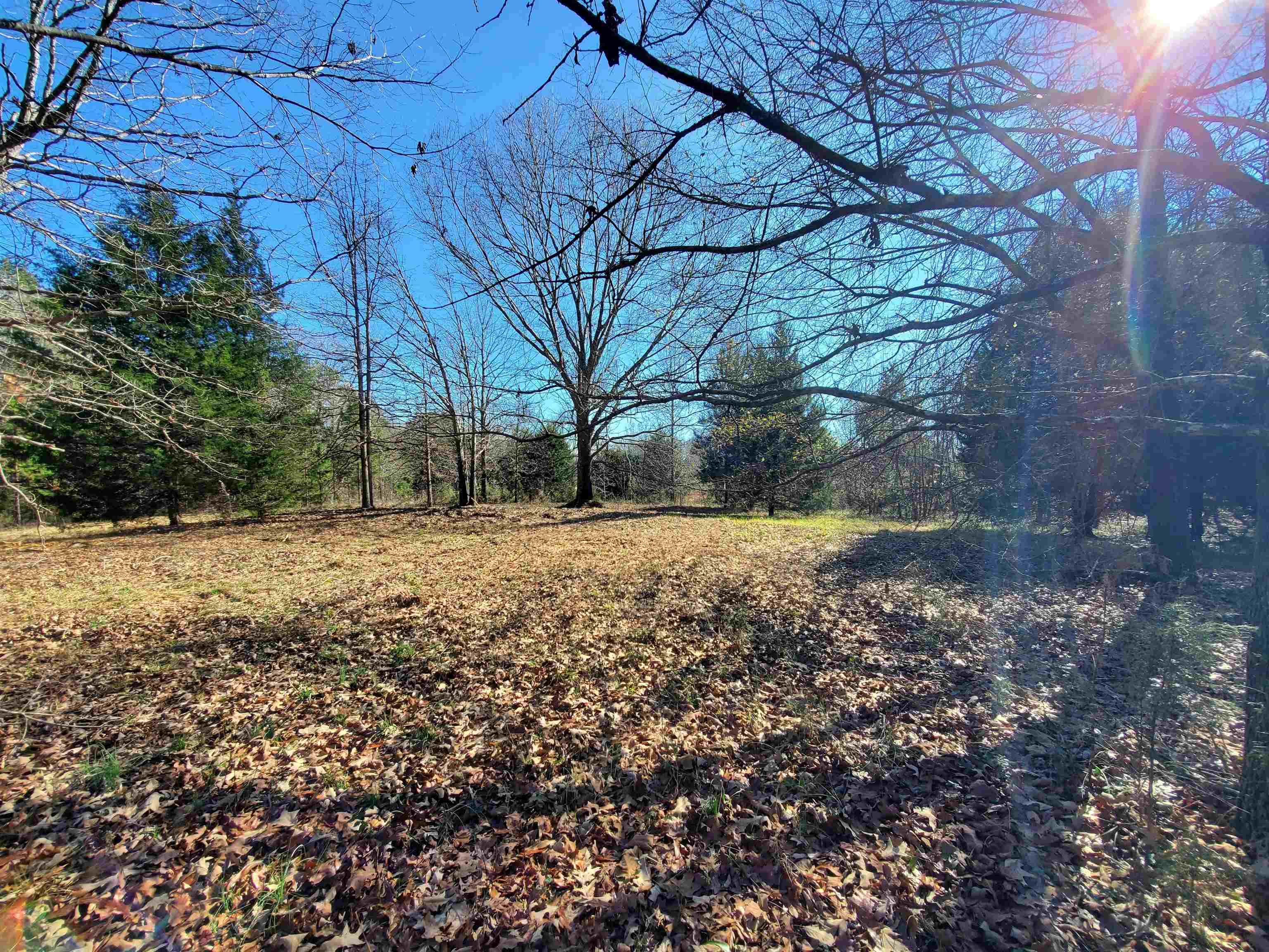 Lot 5 Ritchie Road Fountain Inn, SC 29644 - Photo 10 of 20