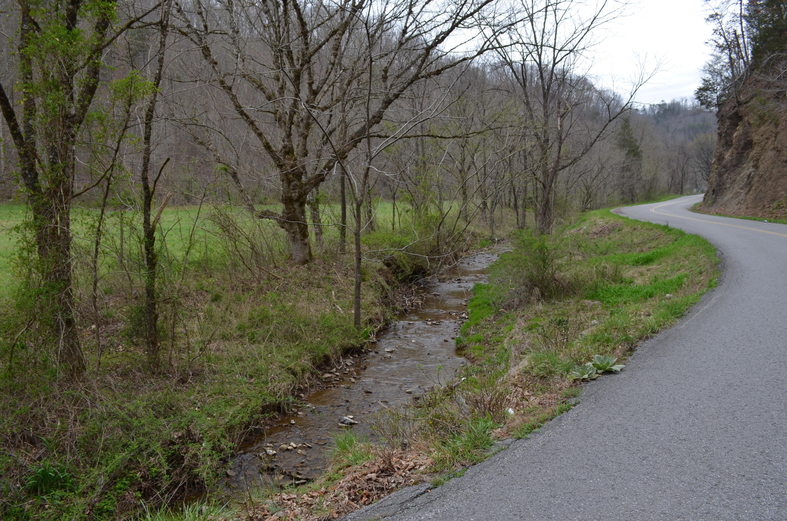 11.13-ac Fox Branch Road Kyles Ford, TN 37765 - Photo 3 of 14 DSC_0370