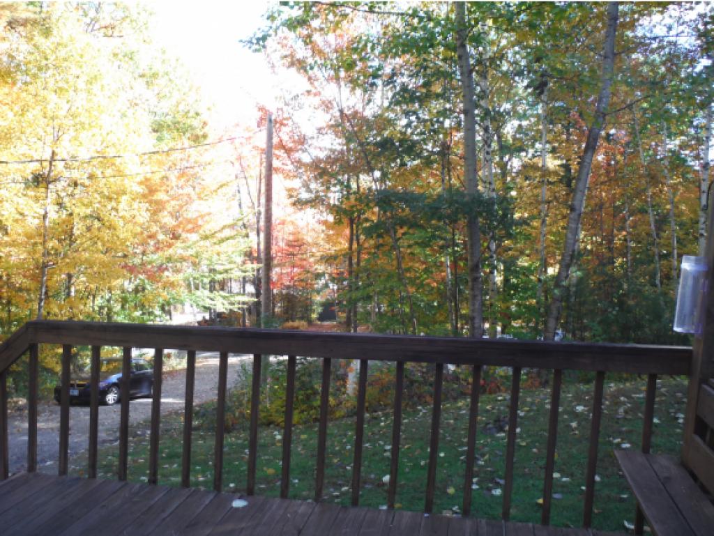 210 Allard Hill Road Conway, NH 03818 - Photo 25 of 25 Gallery Image 25