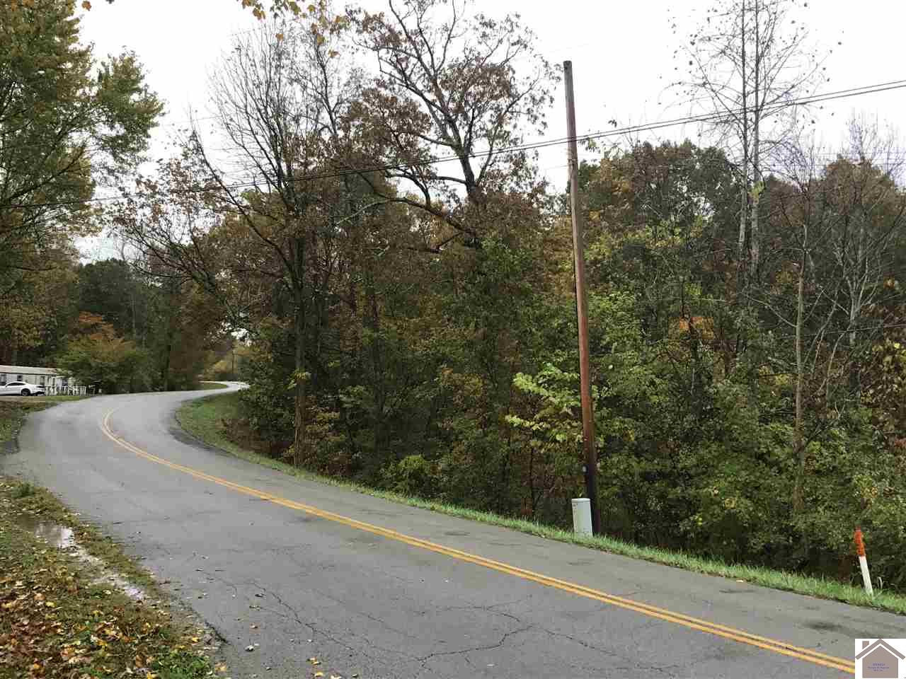 0 Rockcastle Road Cadiz, KY 42211 - Photo 1 of 1 Photo 1