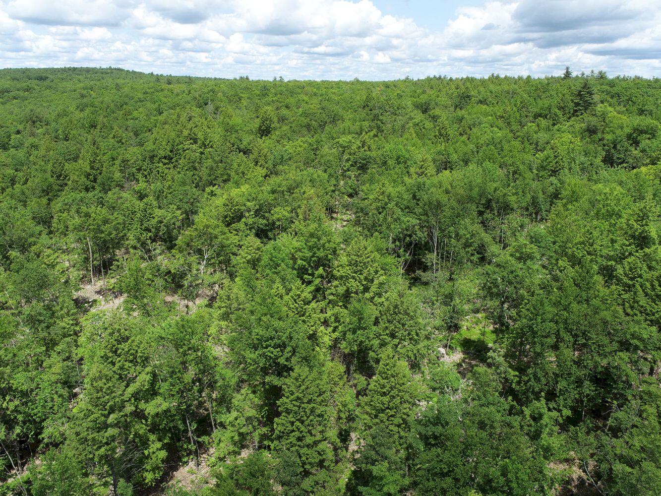 M13-l44 Valley Road Raymond, ME 04071 - Photo 7 of 20 DJI_0006