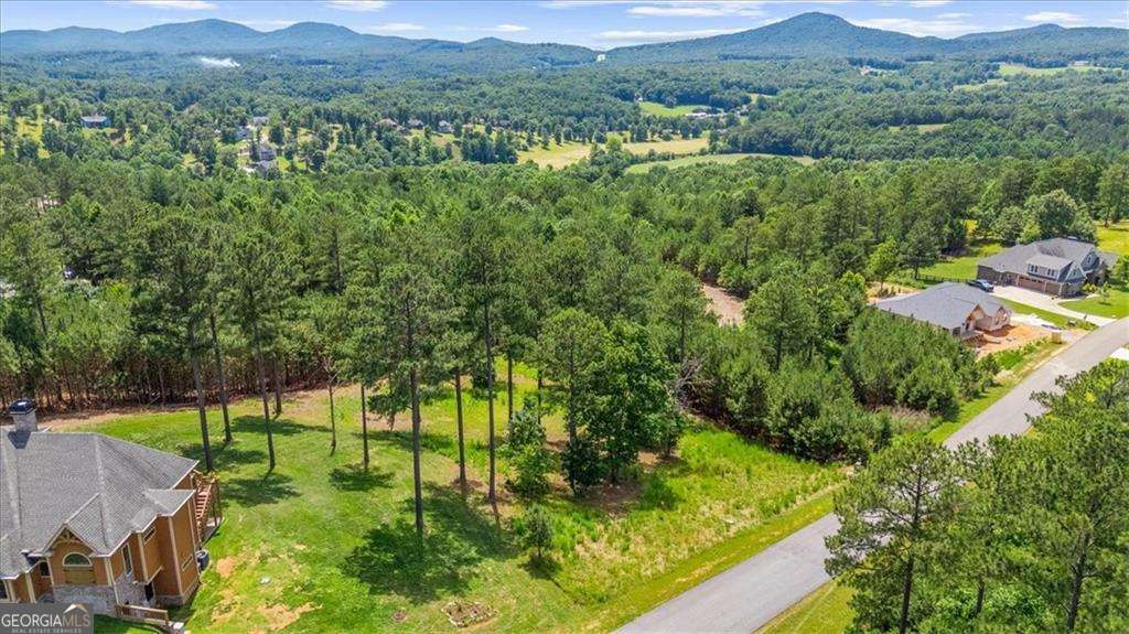 Lot 276 Ridge Pointe Way Blairsville, GA 30512 - Photo 7 of 15