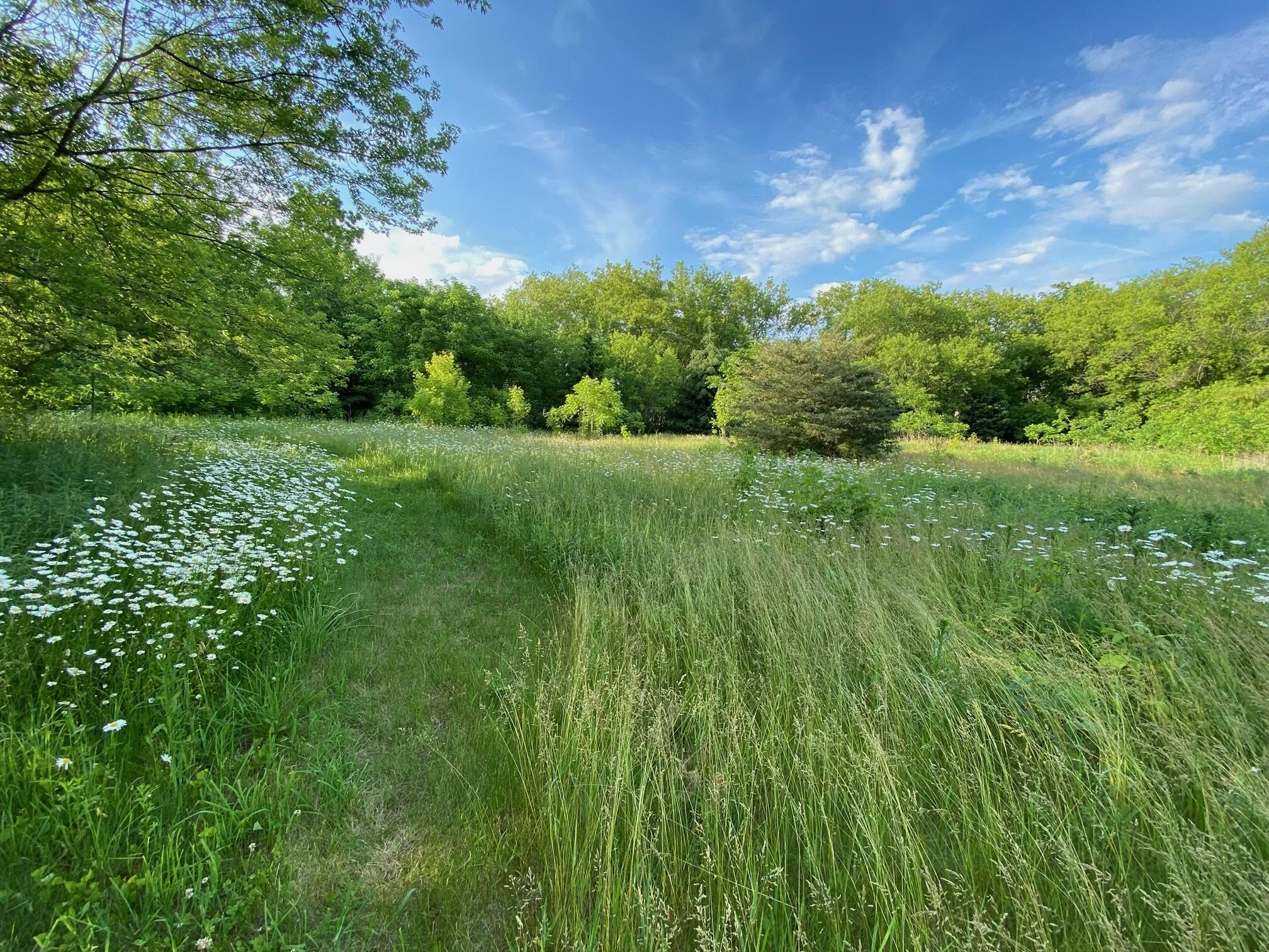 S38W31902 Wern Way Genesee, WI 53189 - Photo 41 of 67 backyard meadow
