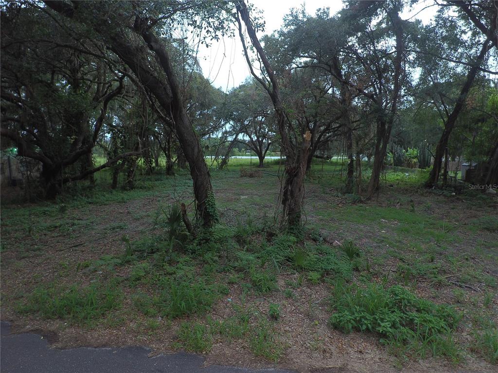 Craft Road Brandon, FL 33511 - Photo 1 of 1 Gallery Image 1