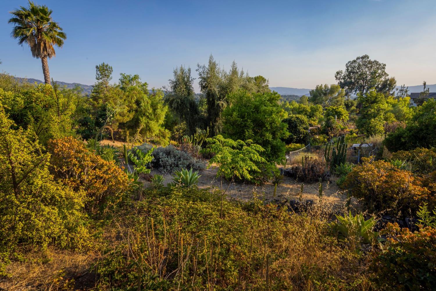 1881 Meiners Road Ojai, CA 93023 - Photo 33 of 50