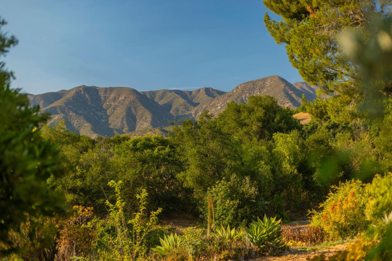 1881 Meiners Road Ojai, CA 93023 - Photo 44 of 50