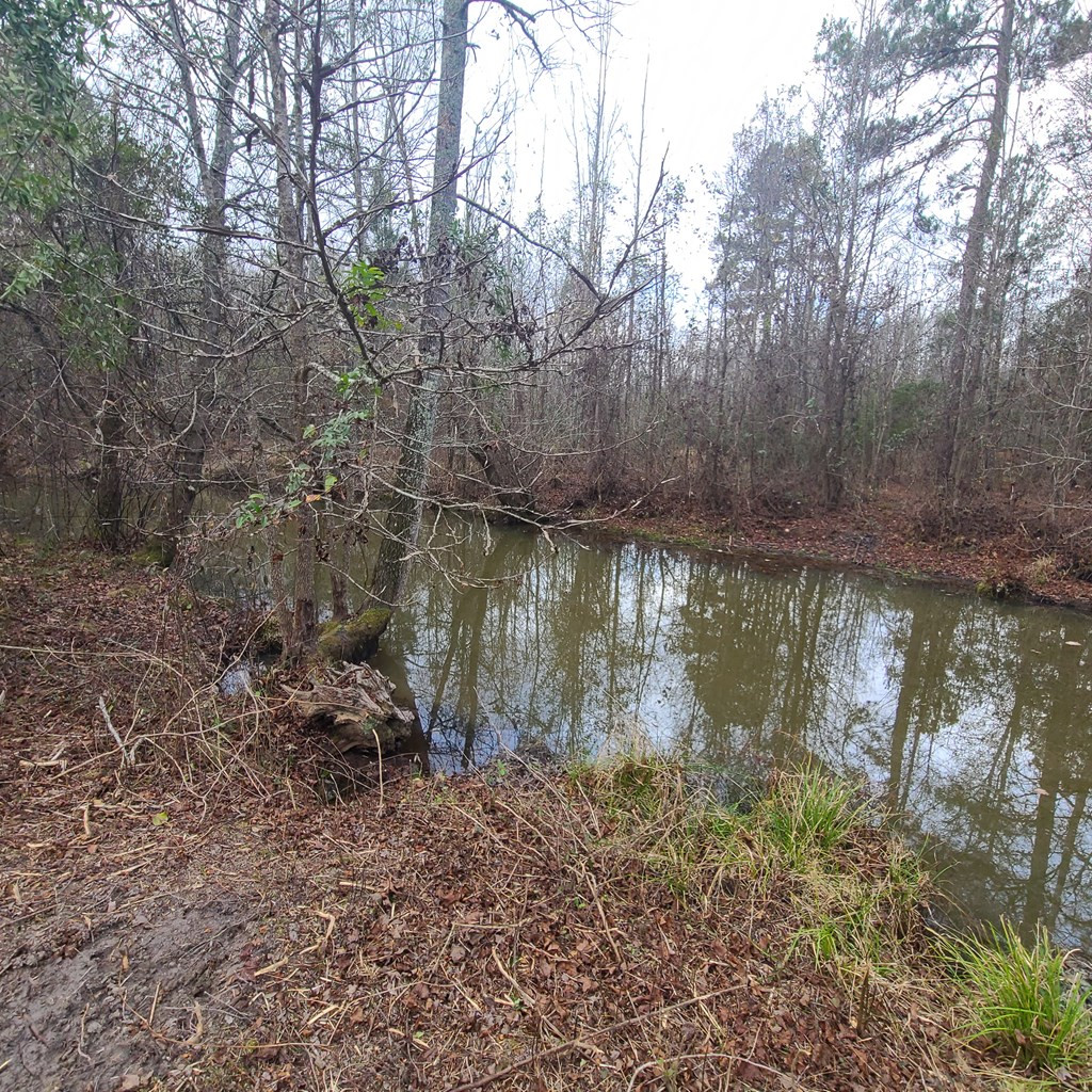 600 Main Street Jackson, SC 29831 - Photo 20 of 28