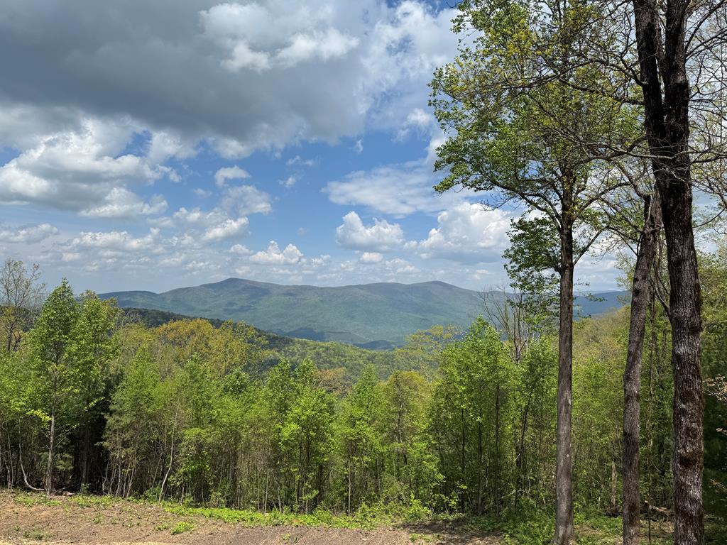 30 Wilderness View Chatsworth, GA 30705 - Photo 54 of 61