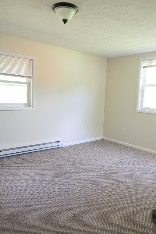 5 Ithaca Street Waverly, NY 14892 - Photo 19 of 24