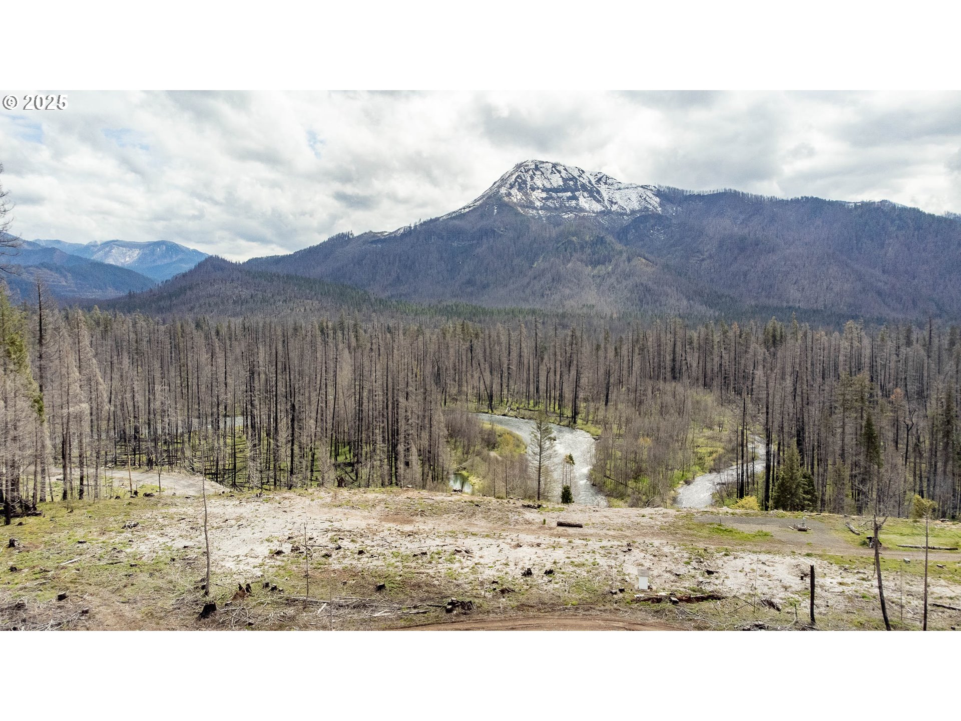 91737 Old Scout Road Blue River, OR 97413 - Photo 12 of 15 a house view with a outdoor space