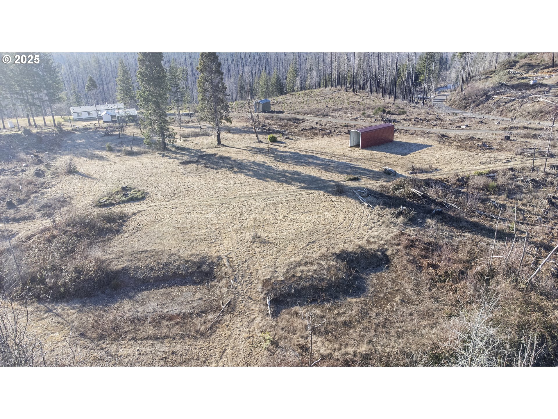 91737 Old Scout Road Blue River, OR 97413 - Photo 2 of 15 a view of a dry yard