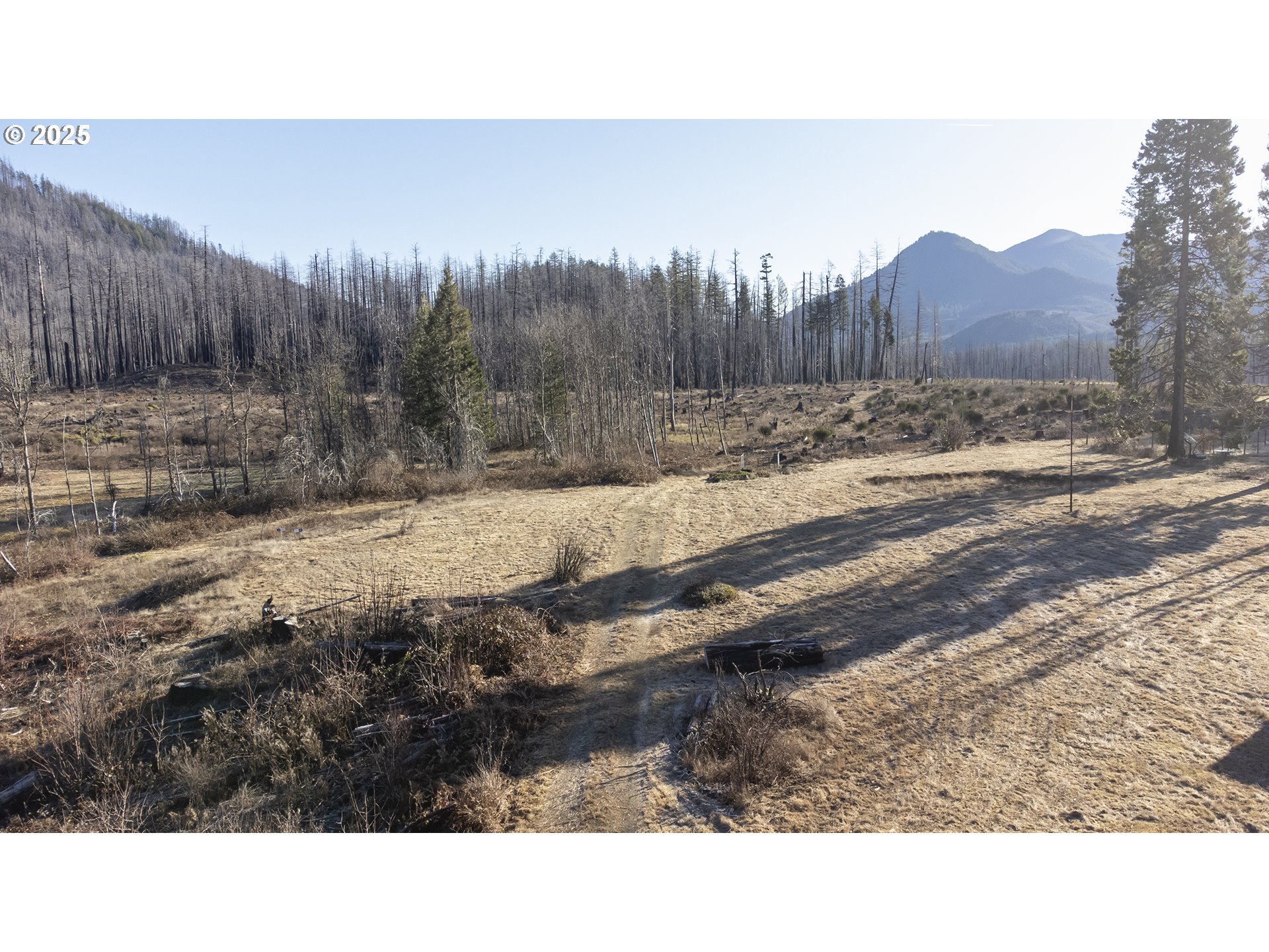 91737 Old Scout Road Blue River, OR 97413 - Photo 4 of 15 a bathroom with a sink and a yard