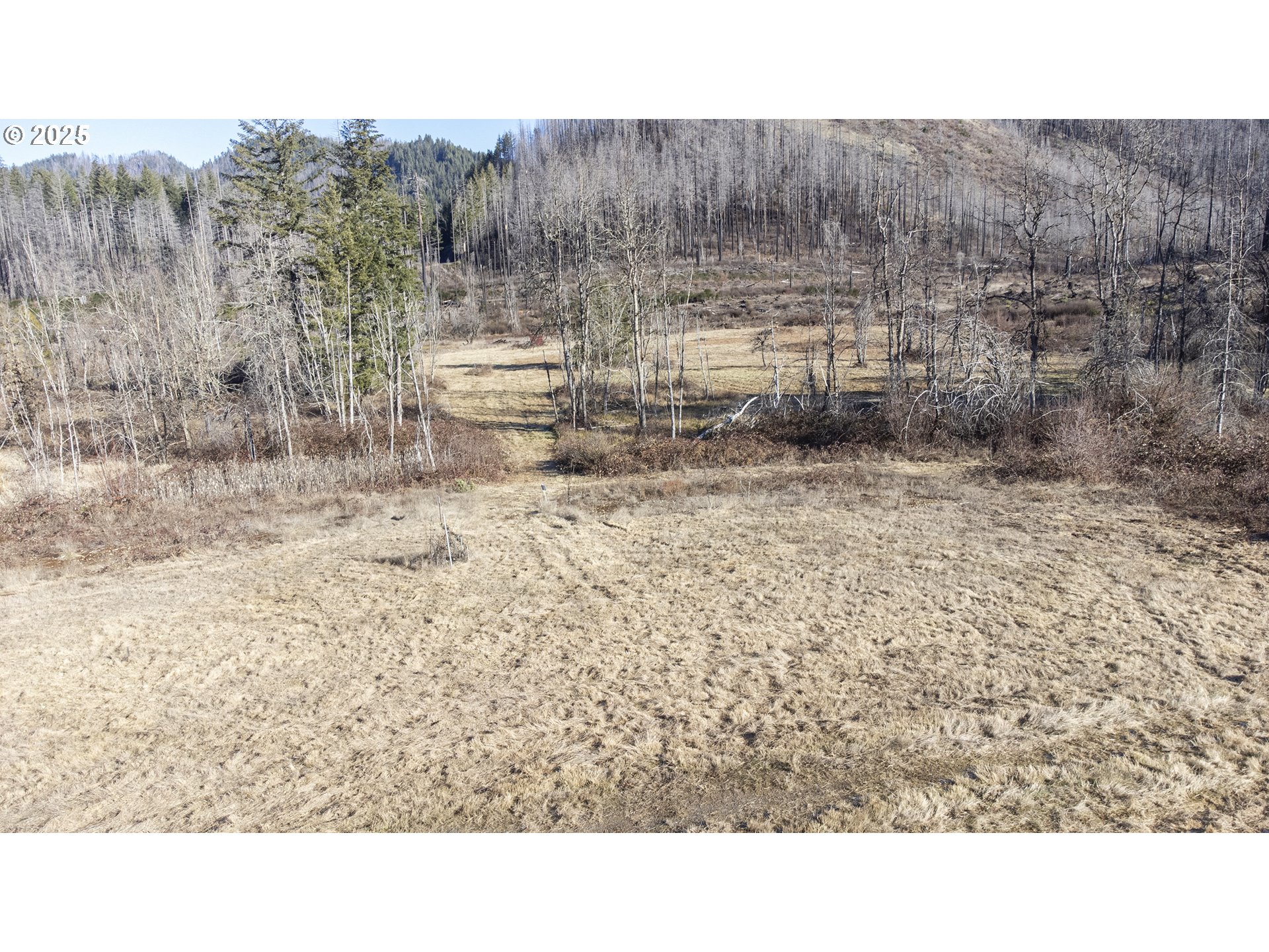 91737 Old Scout Road Blue River, OR 97413 - Photo 5 of 15 a bathroom with a sink and a toilet