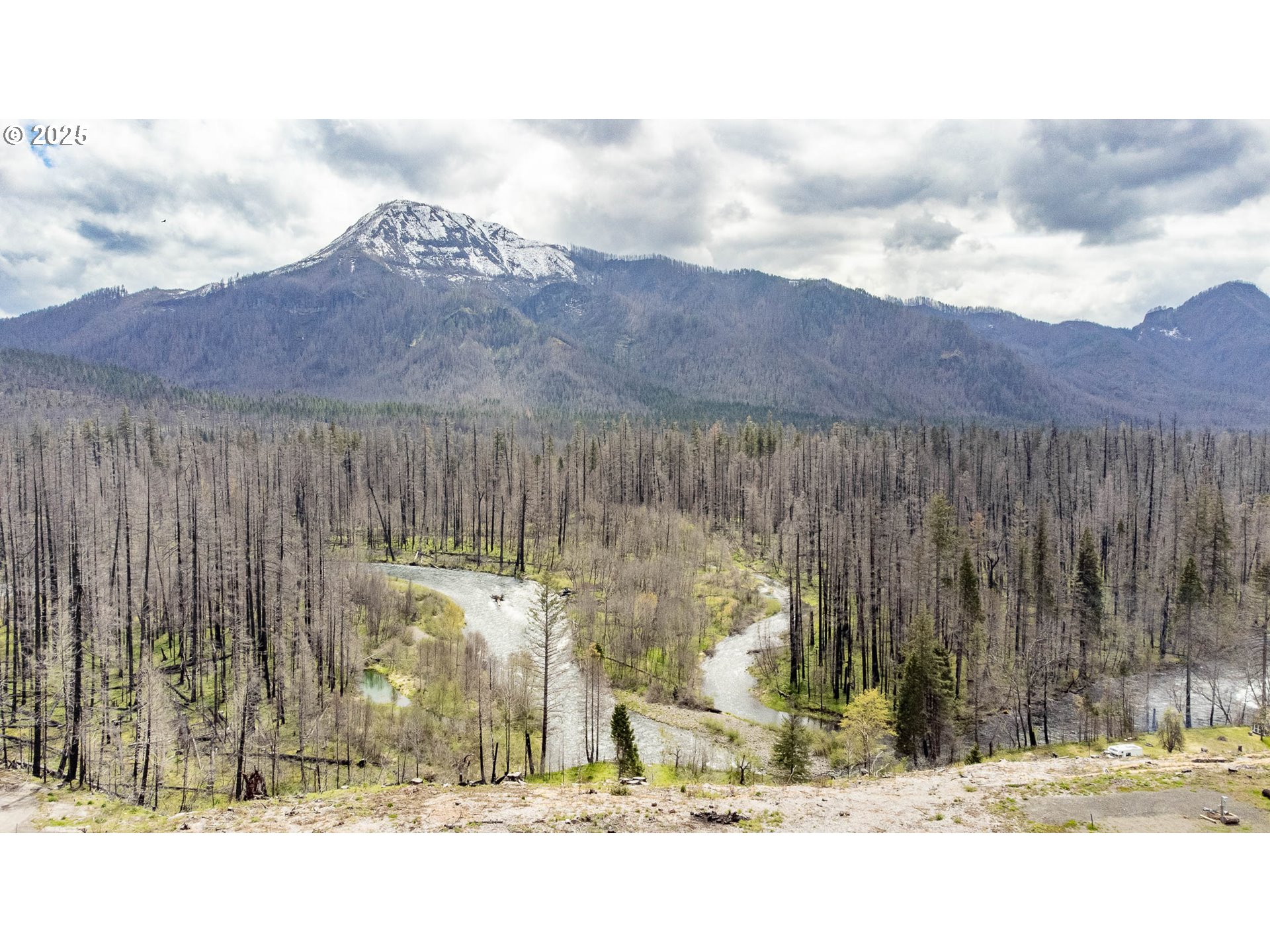91737 Old Scout Road Blue River, OR 97413 - Photo 6 of 15 a view of a backyard