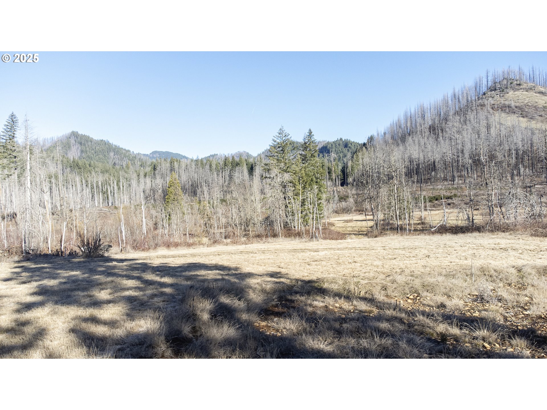 91737 Old Scout Road Blue River, OR 97413 - Photo 7 of 15 a view of a backyard
