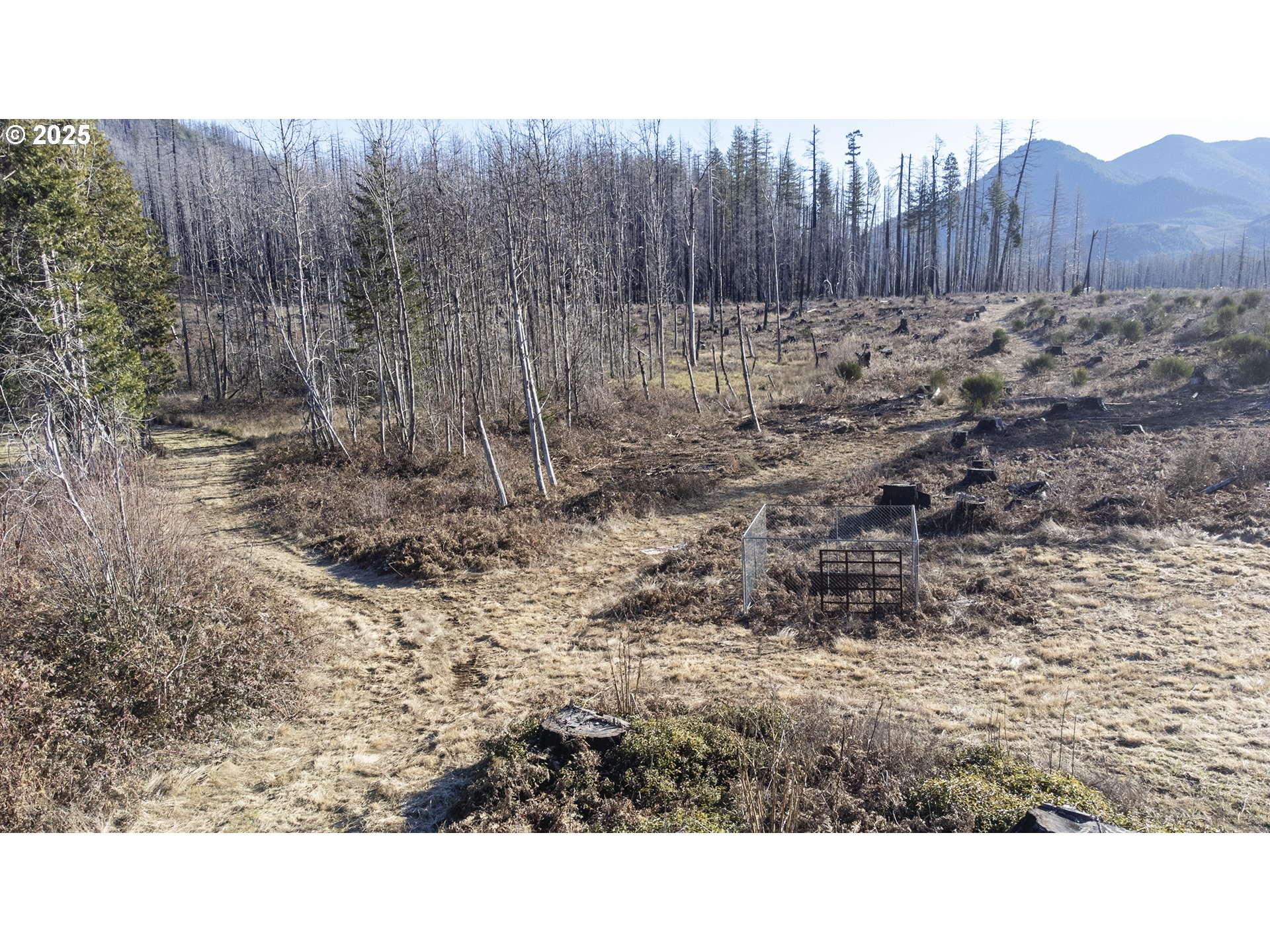 91737 Old Scout Road Blue River, OR 97413 - Photo 8 of 15 a view of outdoor space with wooden fence