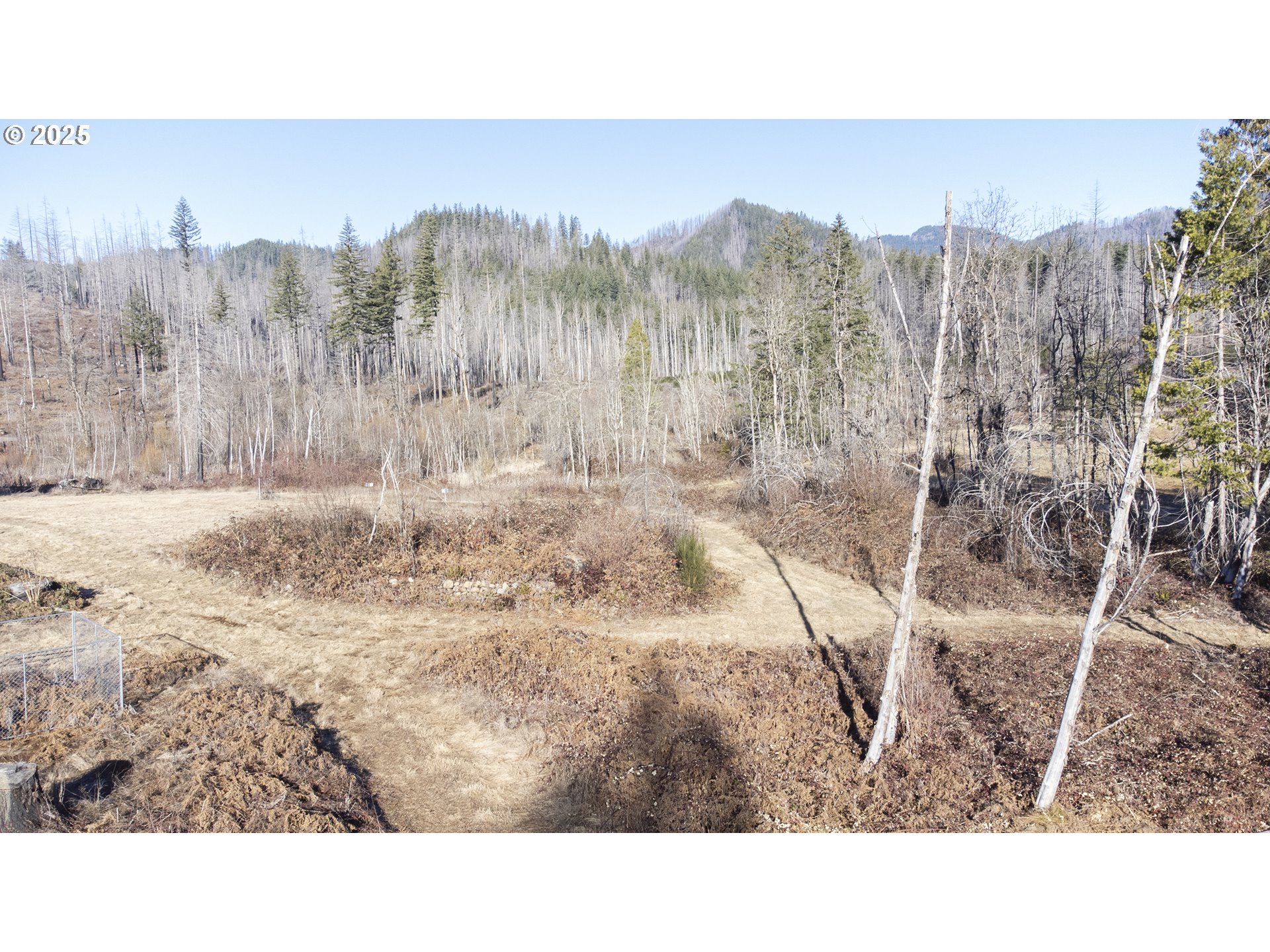 91737 Old Scout Road Blue River, OR 97413 - Photo 10 of 15 a black and white photo of a house